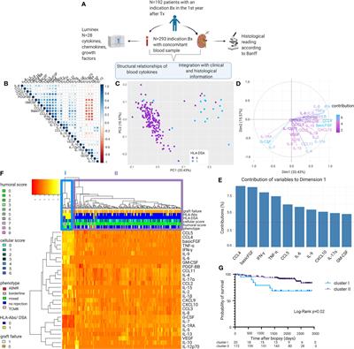 Circulating Donor-Specific Anti-HLA Antibodies Associate With Immune Activation Independent of Kidney Transplant Histopathological Findings